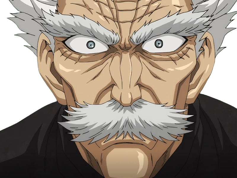 silver fang bang heros one punch man opm vieux anime manga art martiaux maitre badass