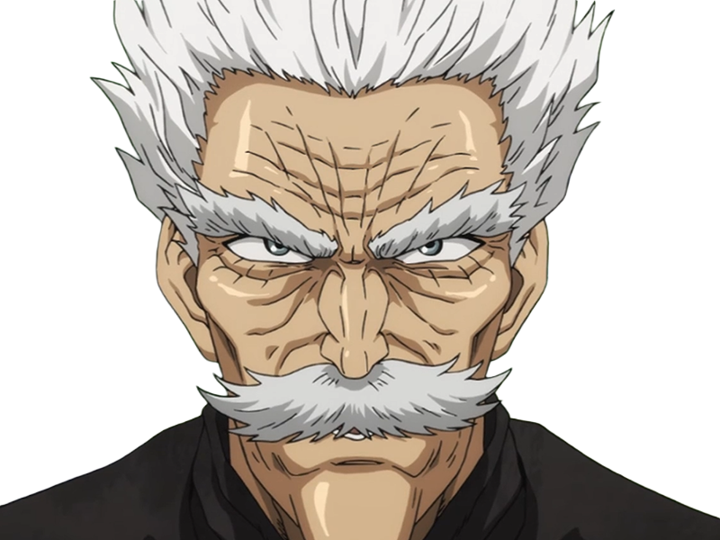 silver fang bang heros one punch man opm vieux anime manga art martiaux maitre badass