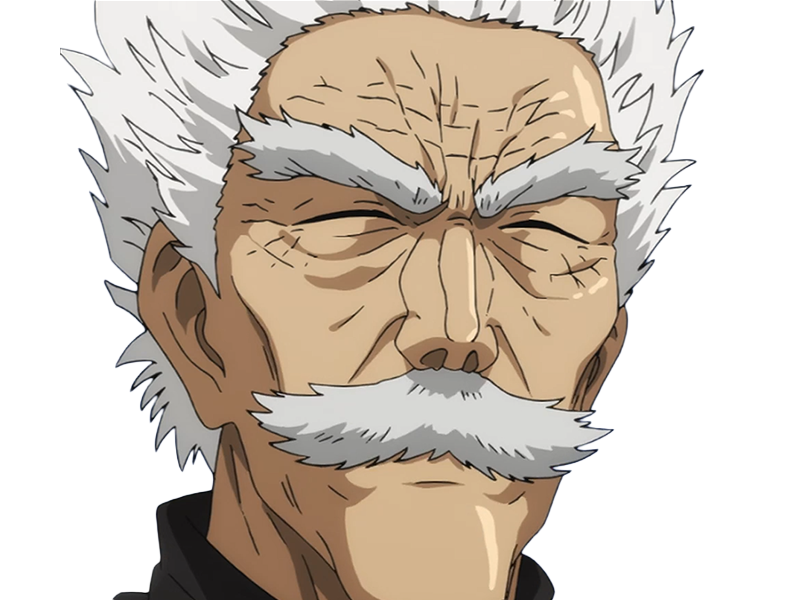 silver fang bang heros one punch man opm vieux anime manga art martiaux maitre badass