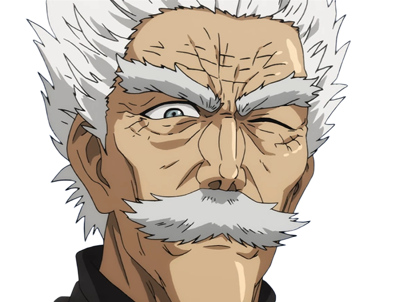 silver fang bang heros one punch man opm vieux anime manga art martiaux maitre badass