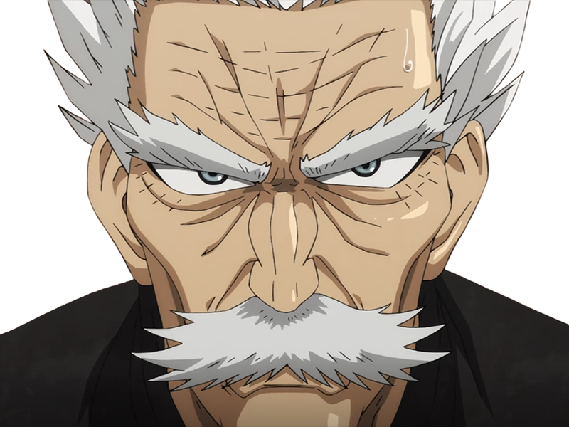 silver fang bang heros one punch man opm vieux anime manga art martiaux maitre badass