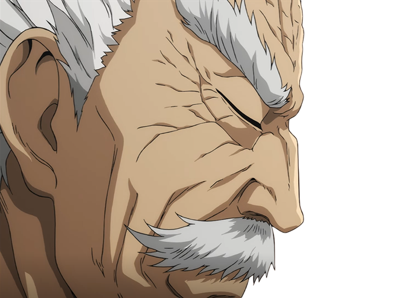 silver fang bang heros one punch man opm vieux anime manga art martiaux maitre badass