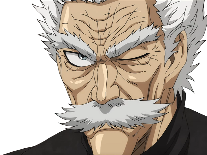 silver fang bang heros one punch man opm vieux anime manga art martiaux maitre badass
