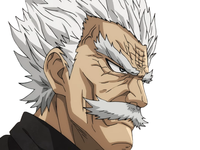 silver fang bang heros one punch man opm vieux anime manga art martiaux maitre badass
