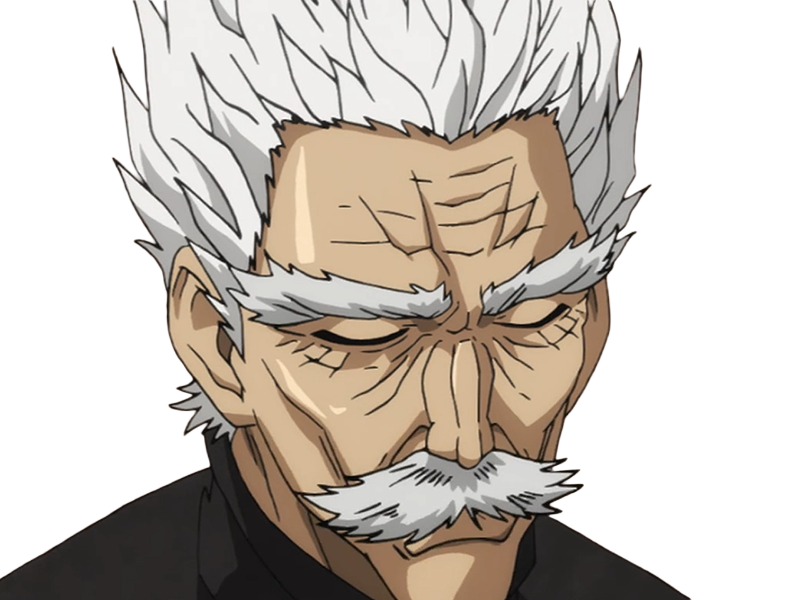 silver fang bang heros one punch man opm vieux anime manga art martiaux maitre badass
