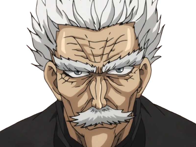 silver fang bang heros one punch man opm vieux anime manga art martiaux maitre badass