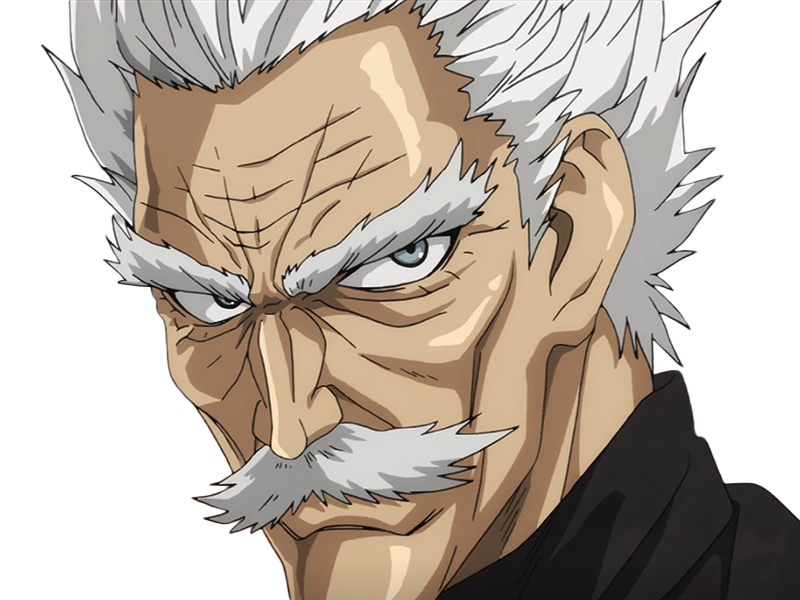 silver fang bang heros one punch man opm vieux anime manga art martiaux maitre badass