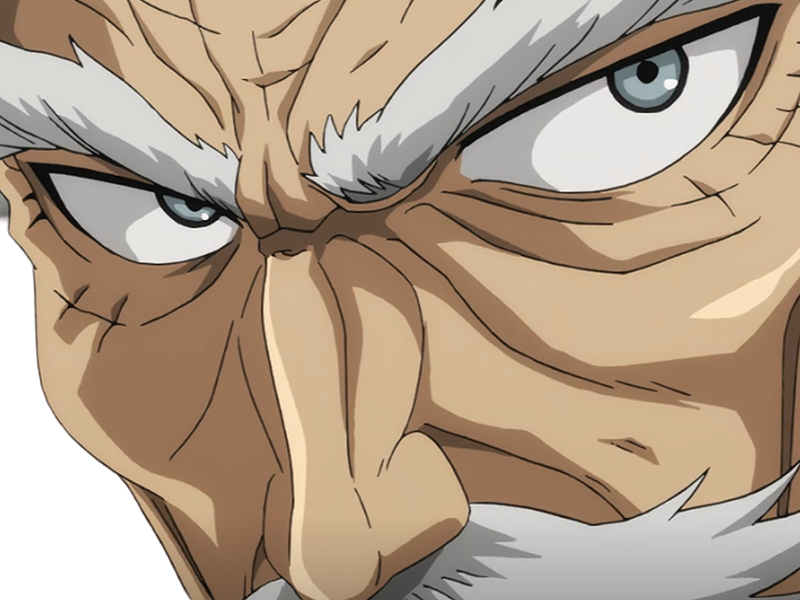 silver fang bang heros one punch man opm vieux anime manga art martiaux maitre badass