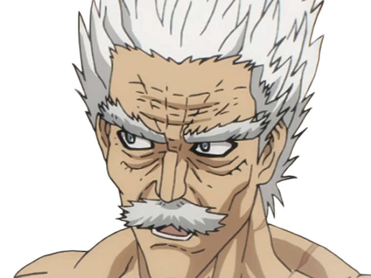 silver fang bang heros one punch man opm vieux anime manga art martiaux maitre badass
