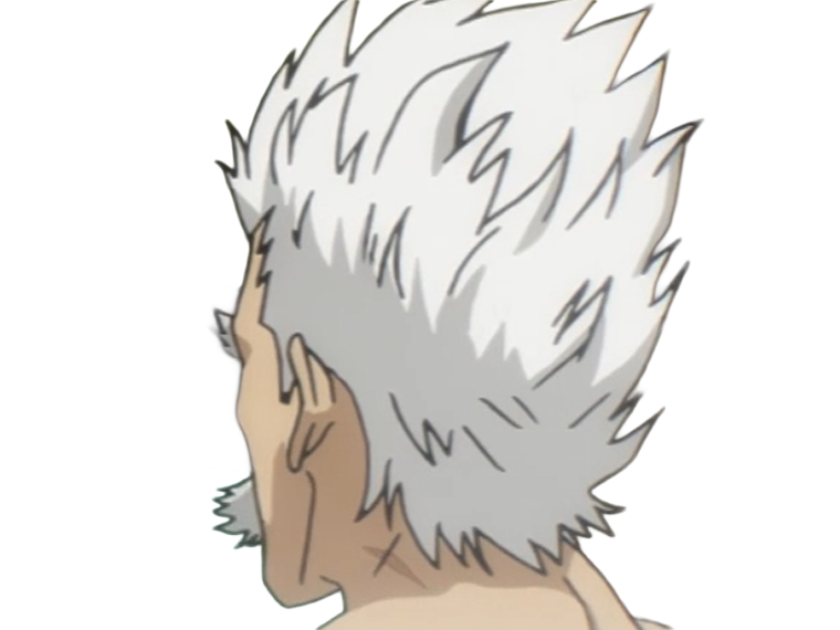 silver fang bang heros one punch man opm vieux anime manga art martiaux maitre badass