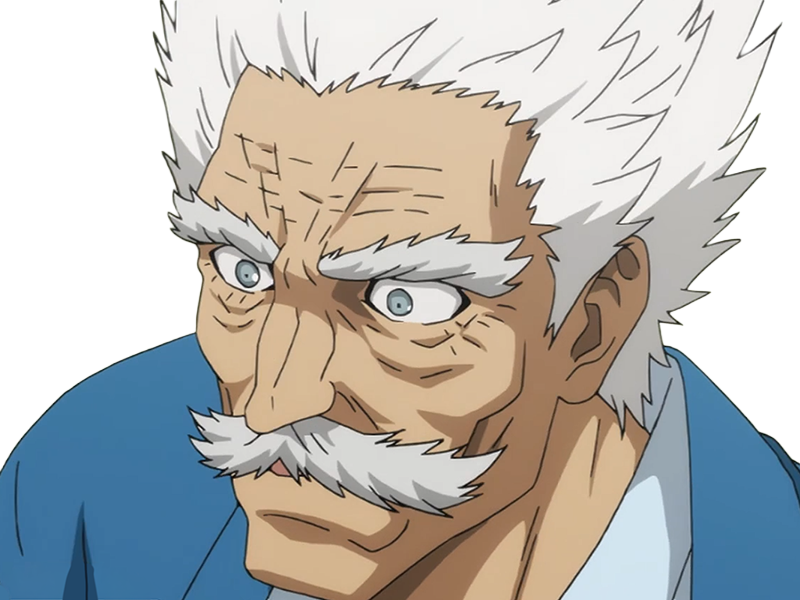 silver fang bang heros one punch man opm vieux anime manga art martiaux maitre badass