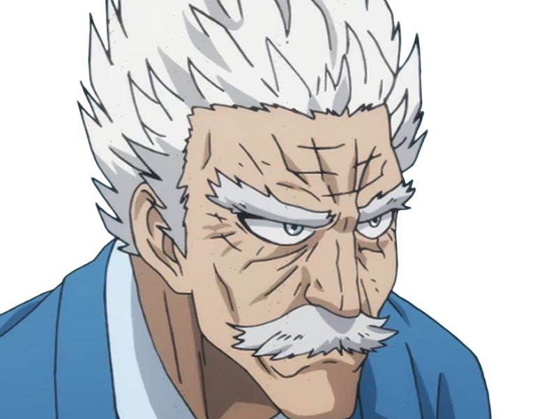silver fang bang heros one punch man opm vieux anime manga art martiaux maitre badass