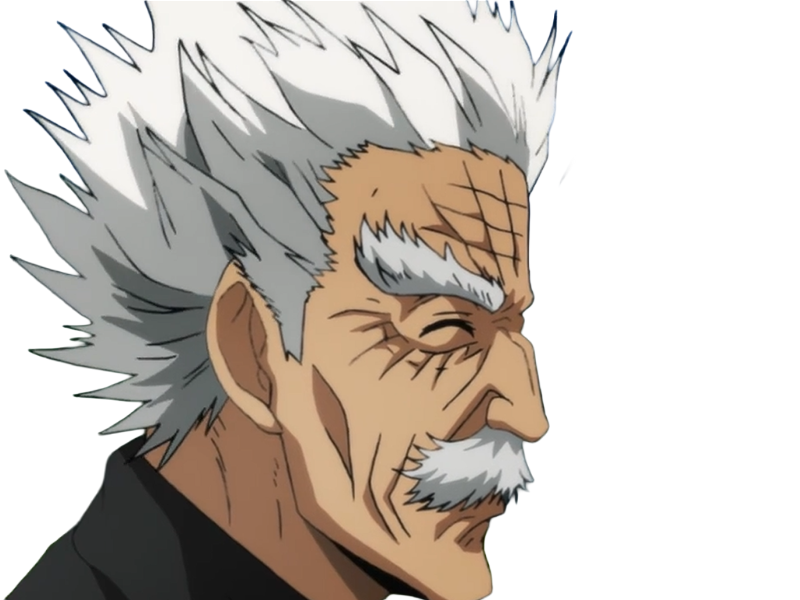 silver fang bang heros one punch man opm vieux anime manga art martiaux maitre badass