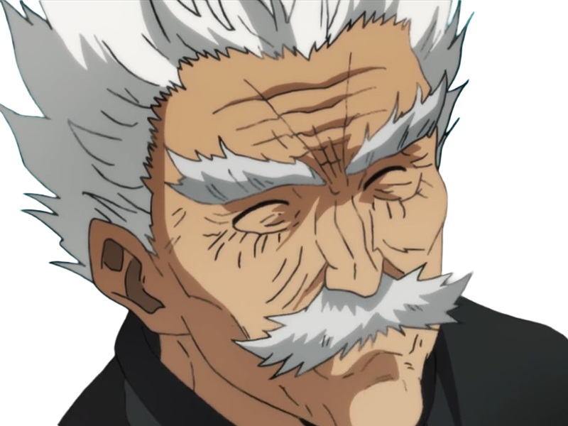 silver fang bang heros one punch man opm vieux anime manga art martiaux maitre badass