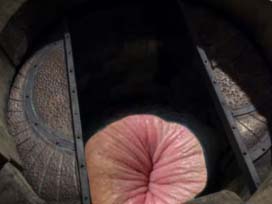 other door got anus doored moon arryn sphate robin