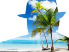 bleu-chapeau-mer-risitas-paysage-ile-ciel-eau-plage-tropique-tropical-palmier