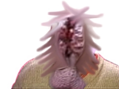 couilles risitas anus issou