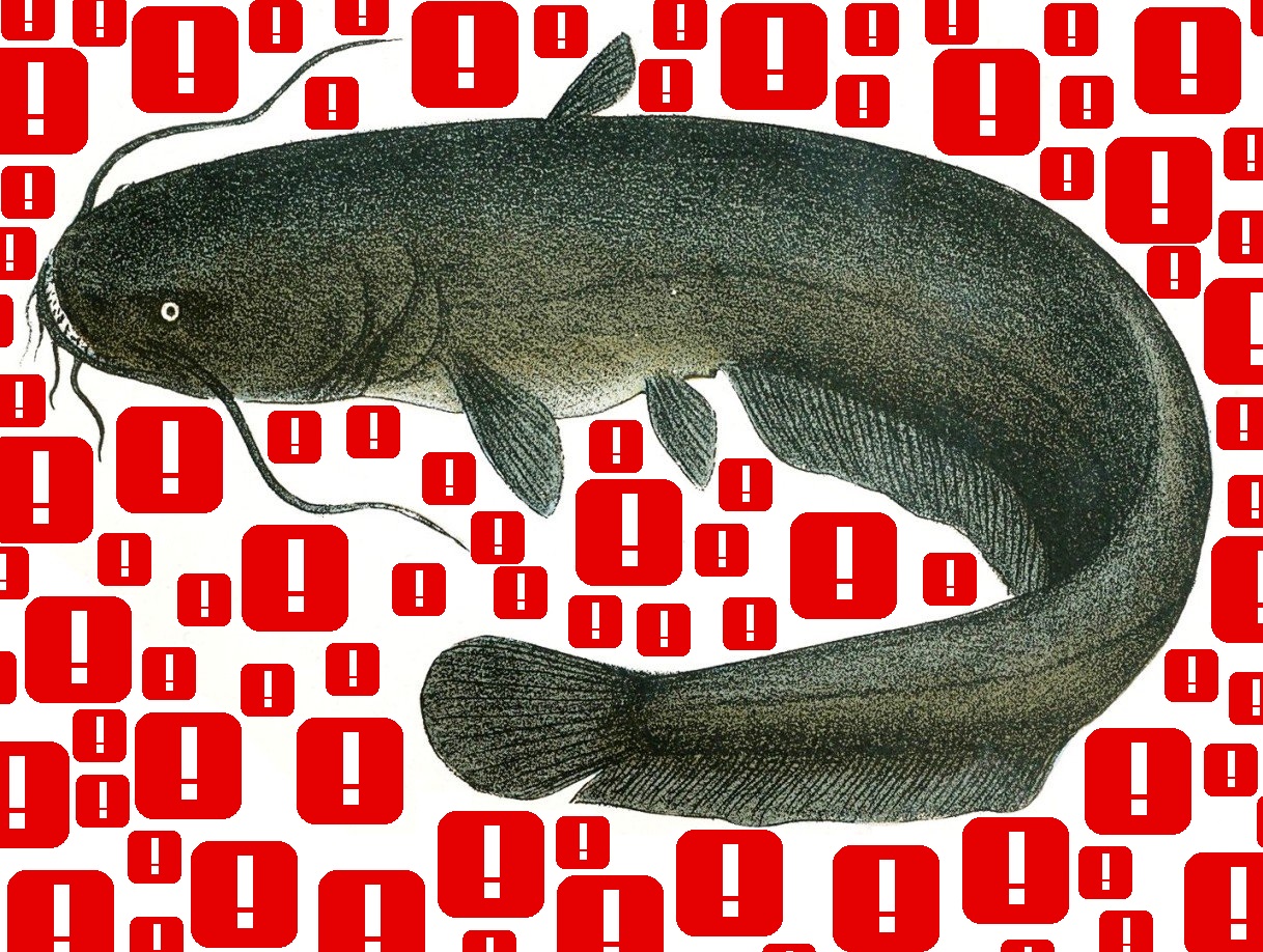 risitas silure signal poisson