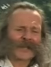 schaiwi jvc reaction gne