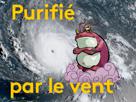 purifie-yorarien-le-waker-zelda-purification-wind-ouragan-yaquelquechose-par-other-vent-irma