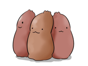 bitemporis unicinctus urechis penis kikoojap jvc ver