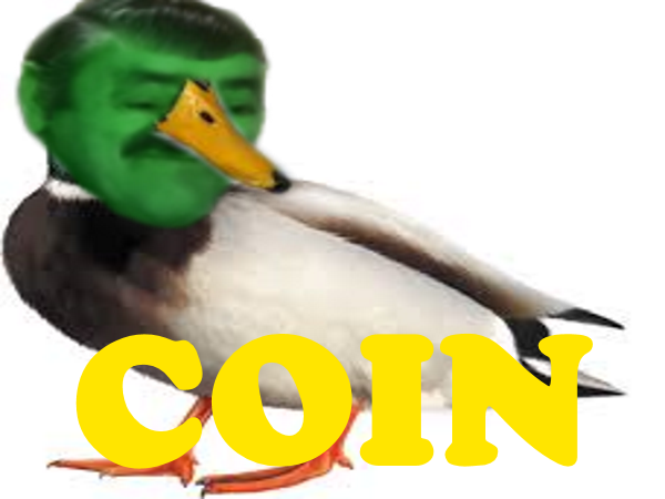 cuck animal risicanard coin animaux canard risitas