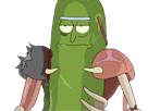 warrior-rick-other-cornichon-pickle