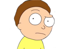 perplexe-morty-rick-other