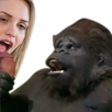 bitch-gorille-risitas-suce-koko