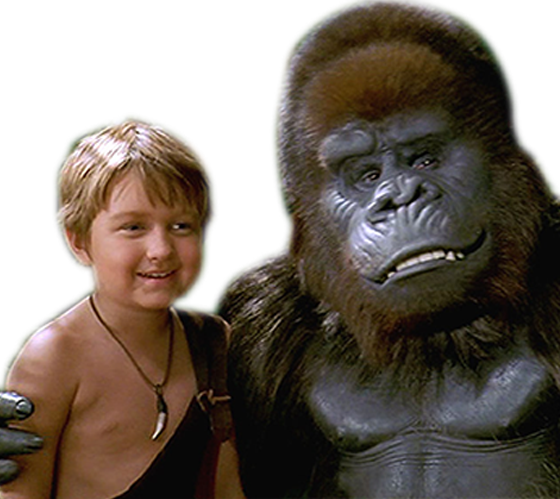 koko fan monked singe