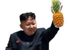 nord-coree-droite-un-du-jong-ananas-other-kim