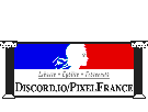 pixel-france-pixelart-discord-pixelfrance-pixelcanvas-marianne-pixels-other-art-canvas