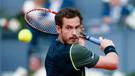 other-andy-murray-tennis
