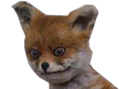 renard moi rip deprime me melancolique pls other kill zoom tuez