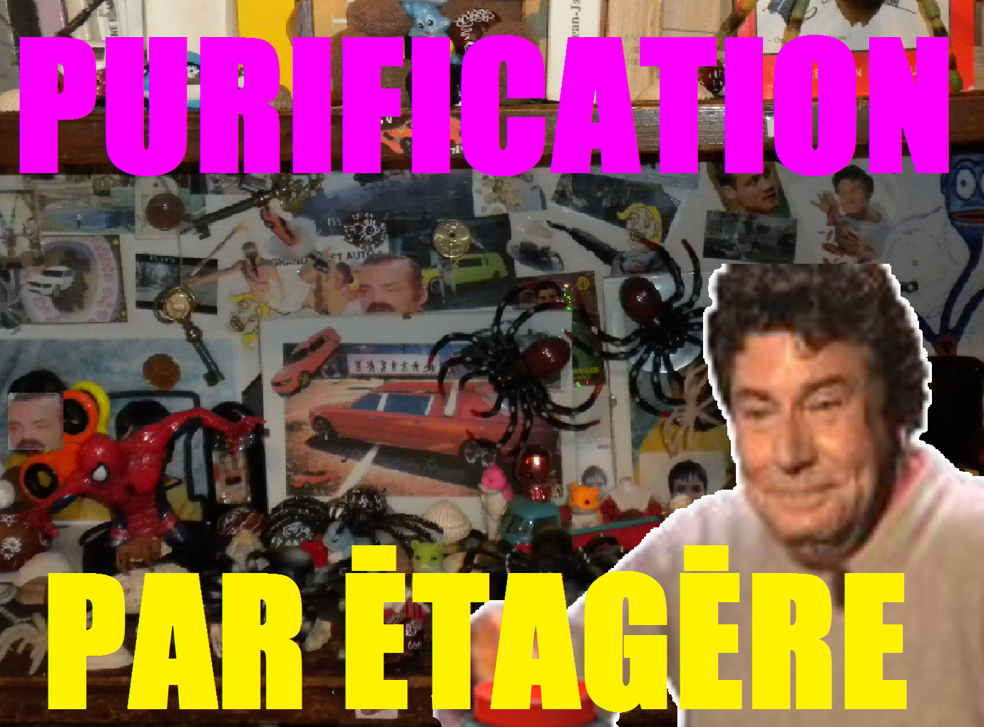 bras petit risitas purification araignee pls