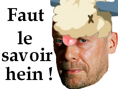 le jvc savoir bouftou faut dofus soral