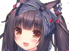 catgirl-loli-chocola-waifu-nekopara-kikoojap-v2