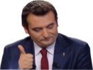 politic seemsgood pouce patriotes philippot lp politique