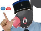 policier-risitas-poffins-deux-police-pokemon-pijako-gilbert-divin-poffin-sucres