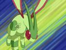anime-3g-pokemon-attaque-sol-dragon-libegon-libellule-vert-risitas