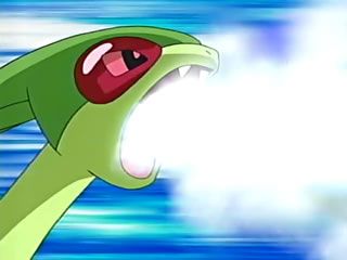 3g pokemon vert dragon libellule libegon attaque dracosouffle anime sol