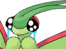 pokemon-3g-kawaii-sol-montage-vert-libegon-mignon-libellule-larmes-jvc-cute-dragon