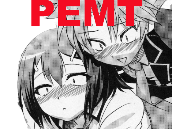 test kikoojap hideyoshi baka pemt akihisa to