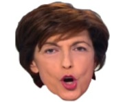 autoritaire domination politic elkrief