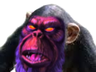 tete-pas-chimpanze-demoniaque-geante-final-bonobo-tinnova-primate-fou-adventures-malefique-starfox-mecontent-furry-malveillant-macaque-singe-boss-grogne-andross-mechant