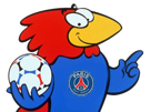 footix-foot-other-psg