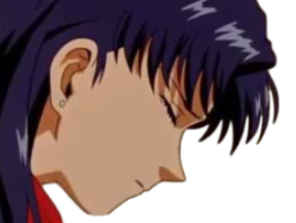 kikoojap misato evangelion katsuragi