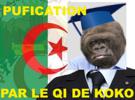 politique-risitas-algerie-koko