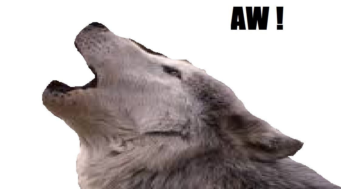 animal loup aw