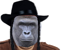 harambe gorille argent risitas juif